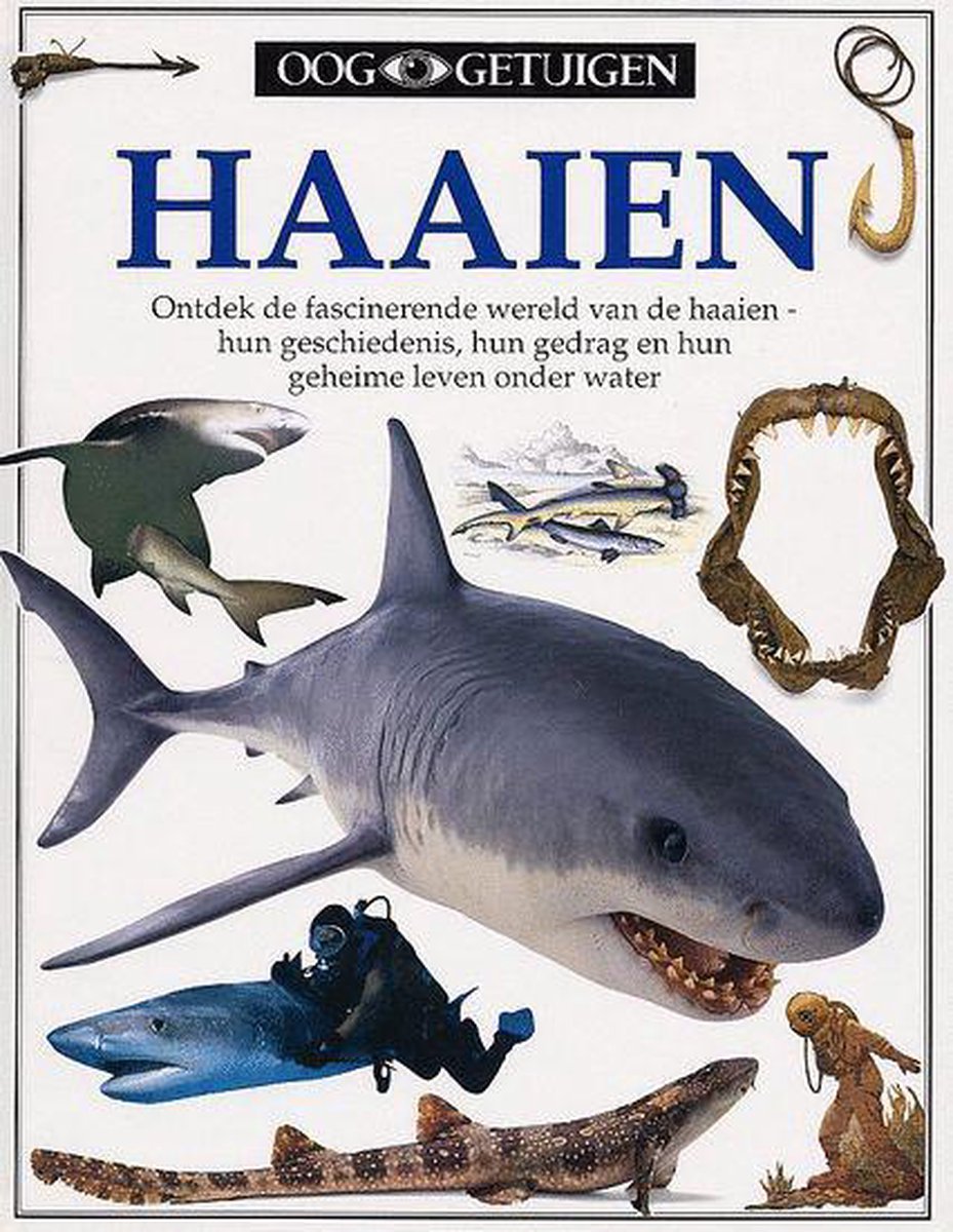 Haaien