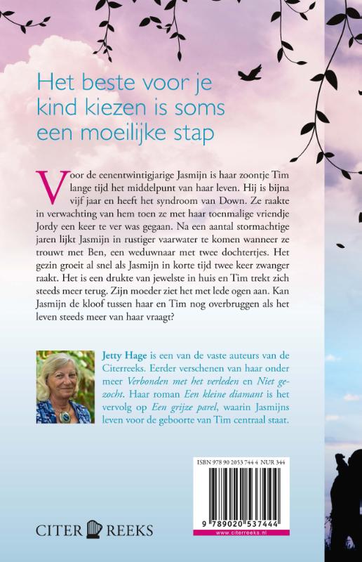 Een kleine diamant / Jasmijn / 2 achterkant