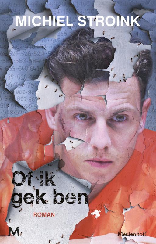 Michiel Stroink Of Ik Gek Ben thumbnail