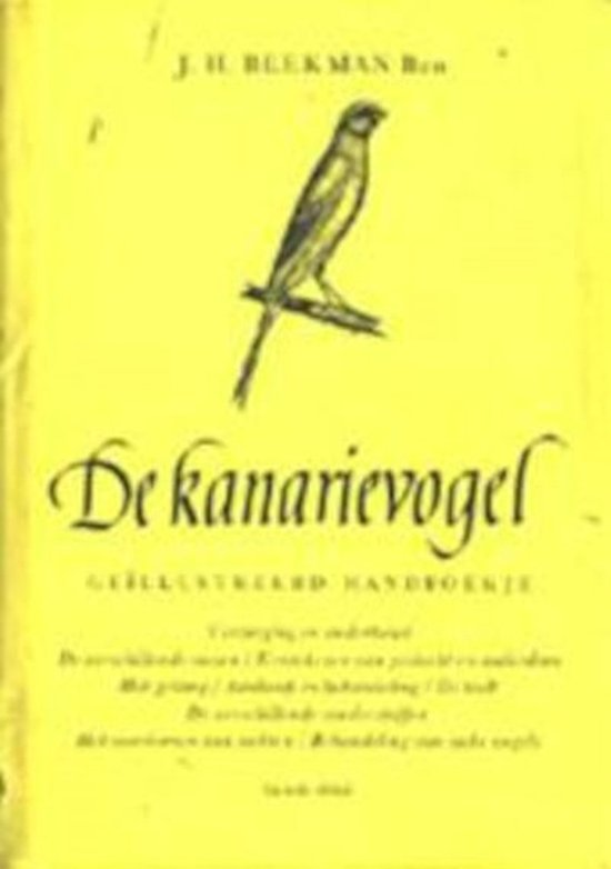 Kanarievogel