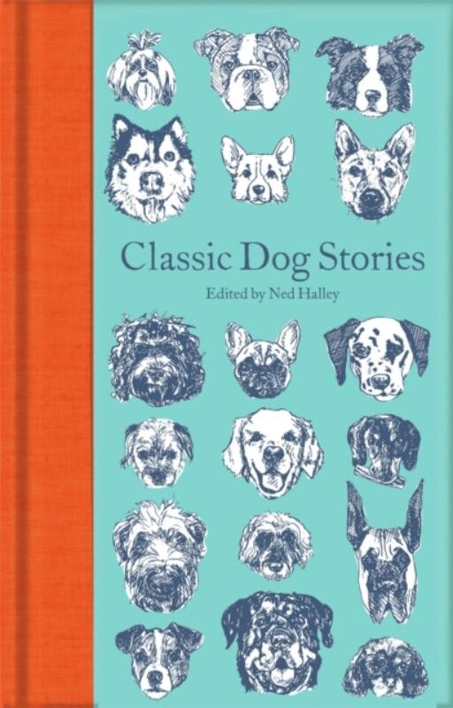Classic Dog Stories / Macmillan Collector's Library
