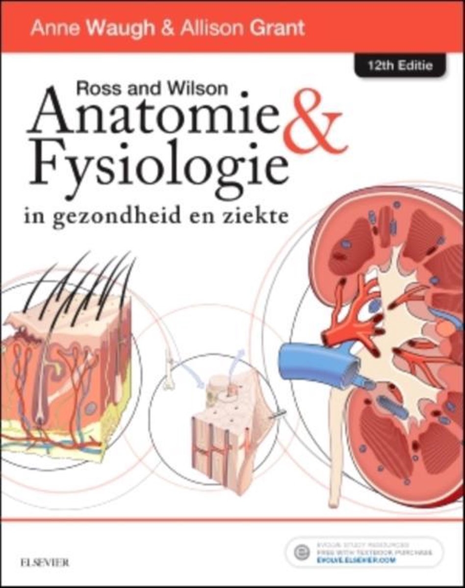 Anne Waugh Ross En Wilson Anatomie En Fysiologie In Gezondheid En Ziekte-