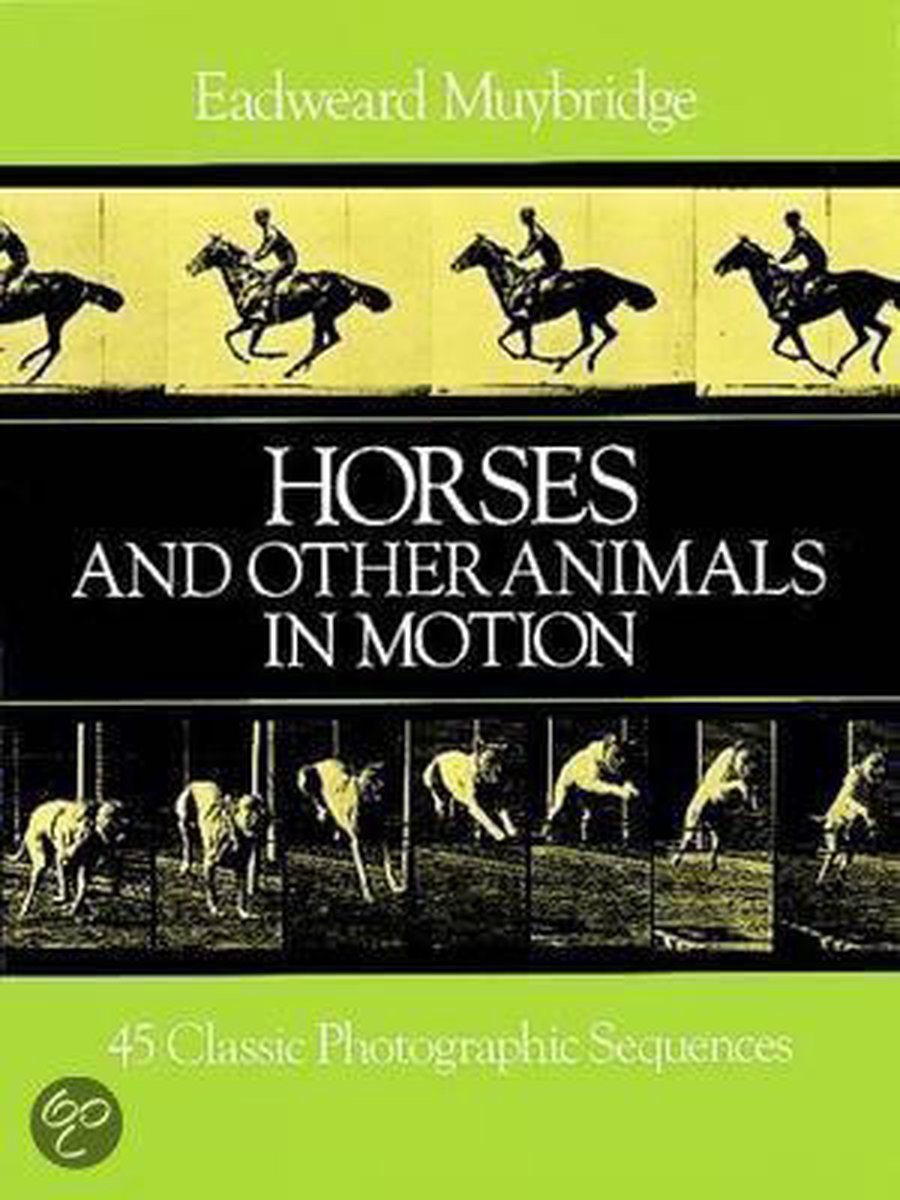 Horses and Other Animals in Motion