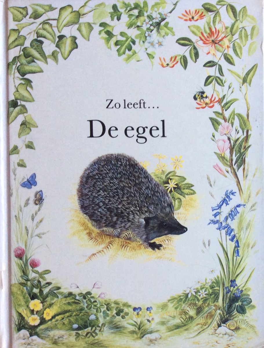 Zo leeft... de egel