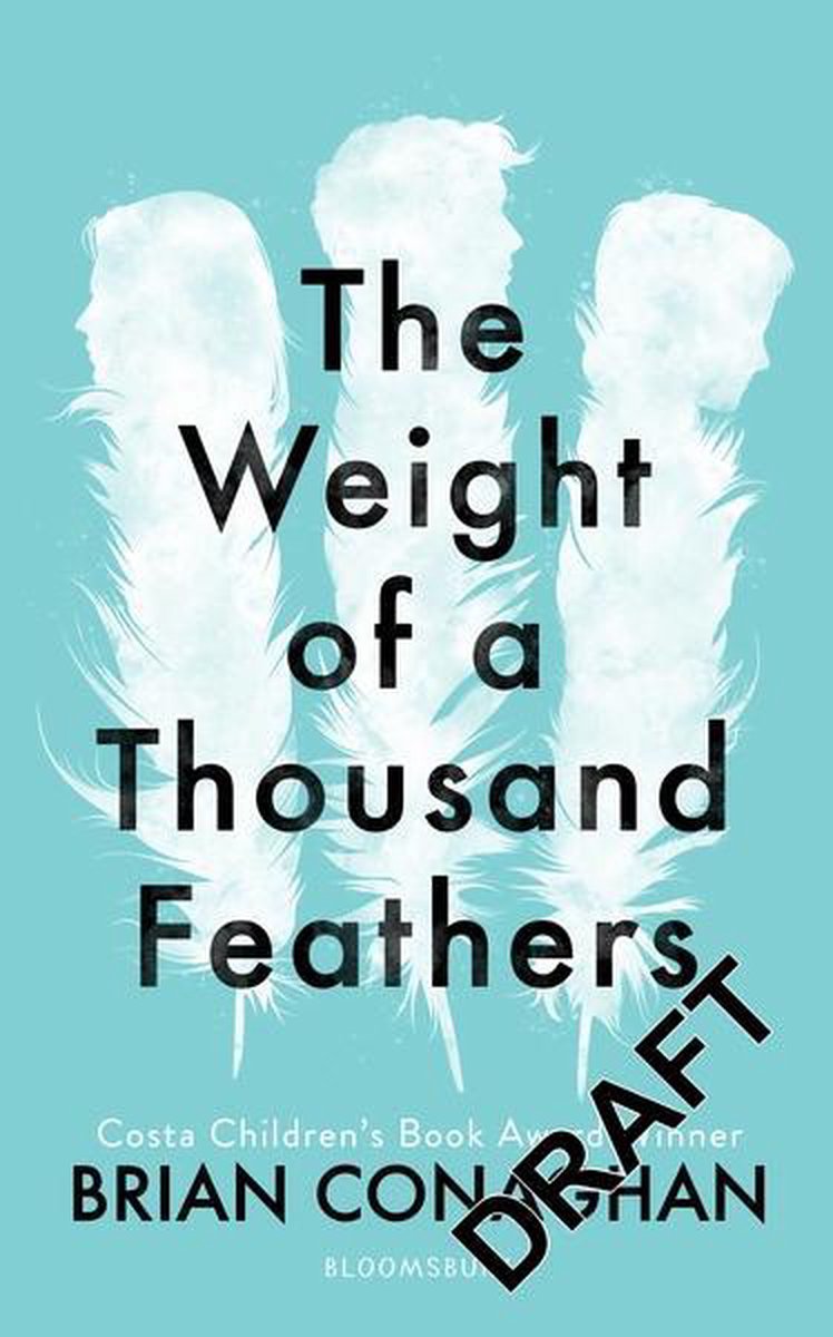 The Weight of a Thousand Feathers