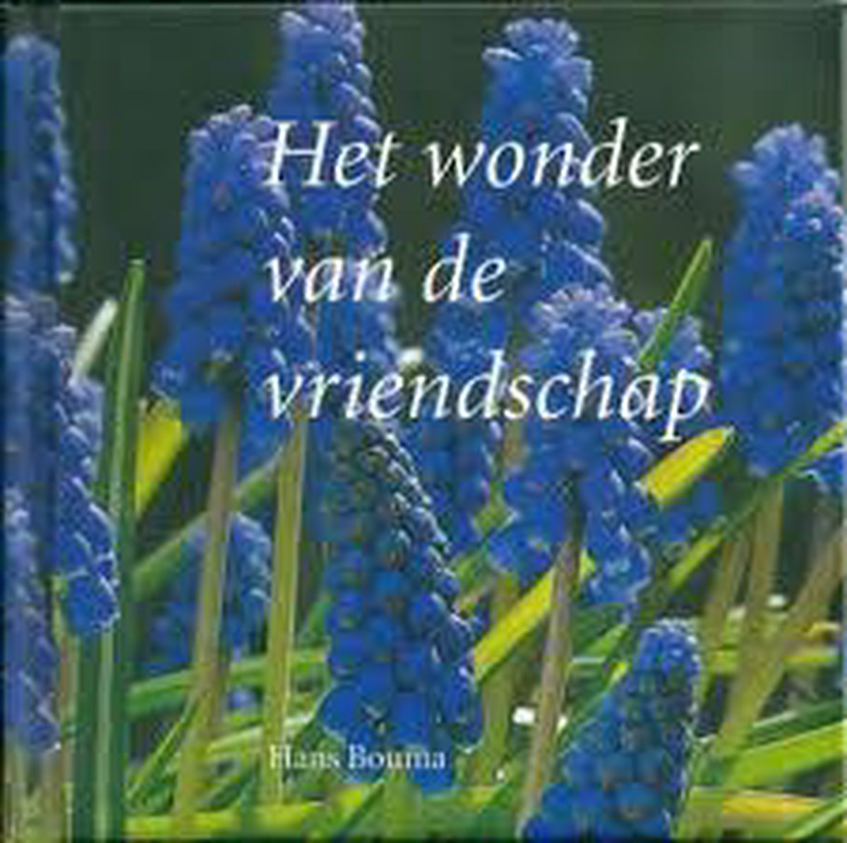 Het wonder van de vriendschap