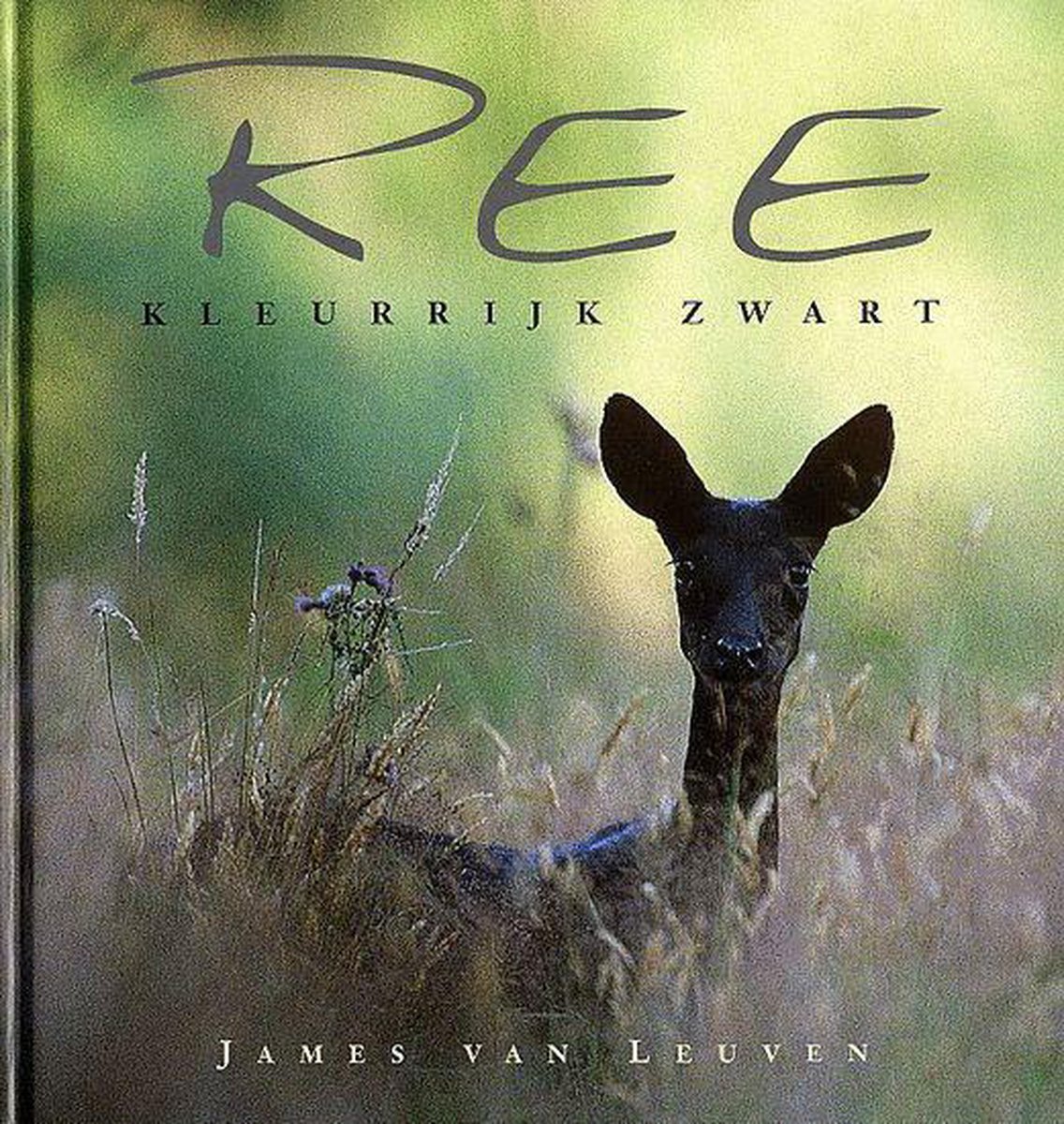boekenbalie_9789074345361_cover Ree - Kleurrijk zwart