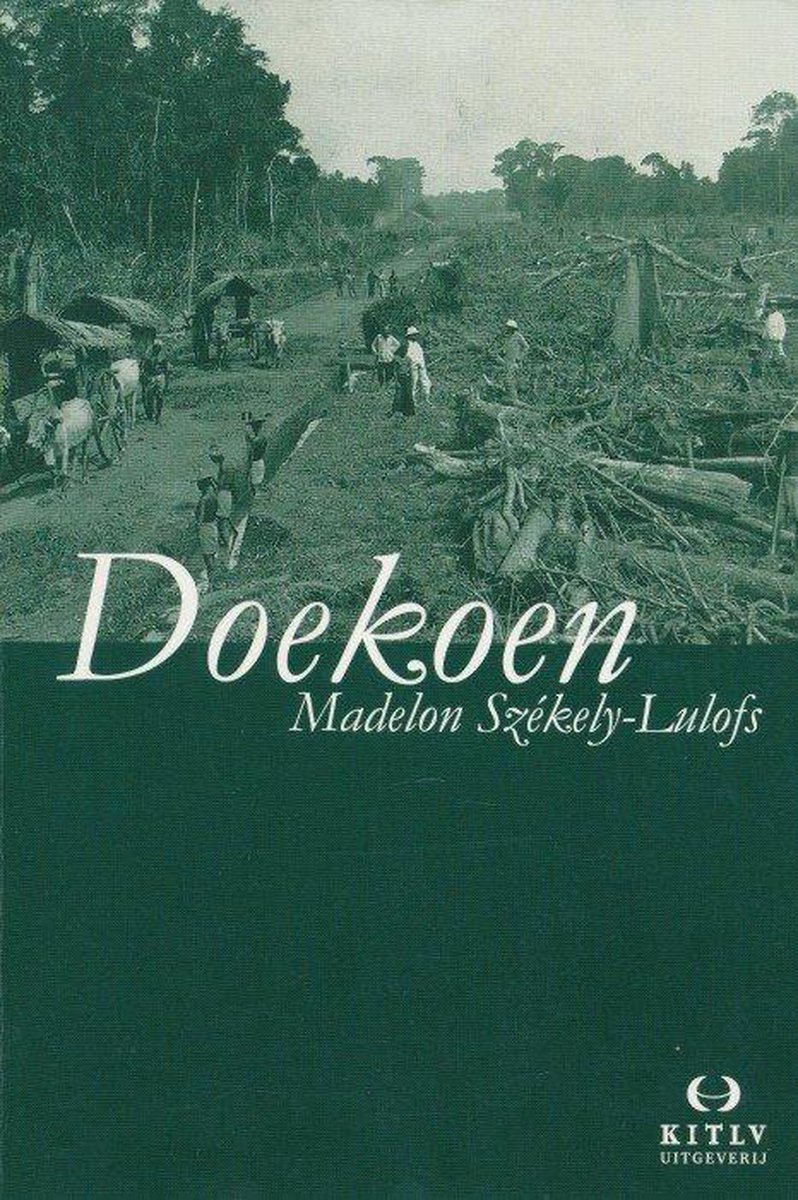 boekenbalie_9789067181716_cover DOEKOEN