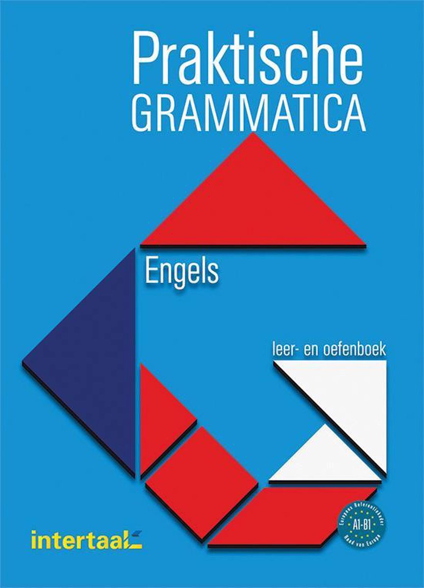 Praktische grammatica Engels leer- en oefenboek