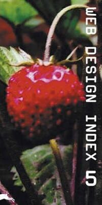 WEB DESIGN INDEX 5