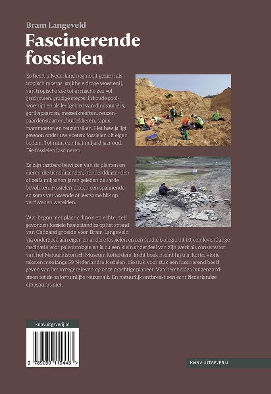 Fascinerende fossielen achterkant