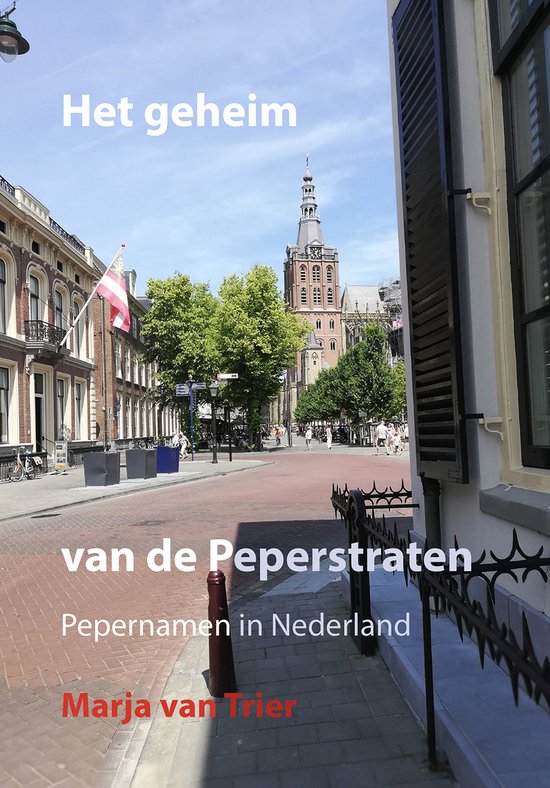 Het geheim van de Peperstraten- boek - historie - taal