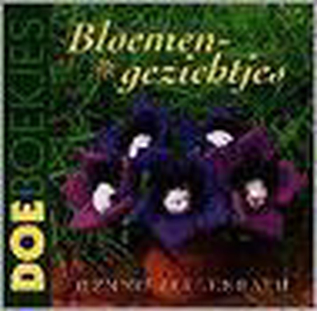 Bloemengezichtjes. doeboekje