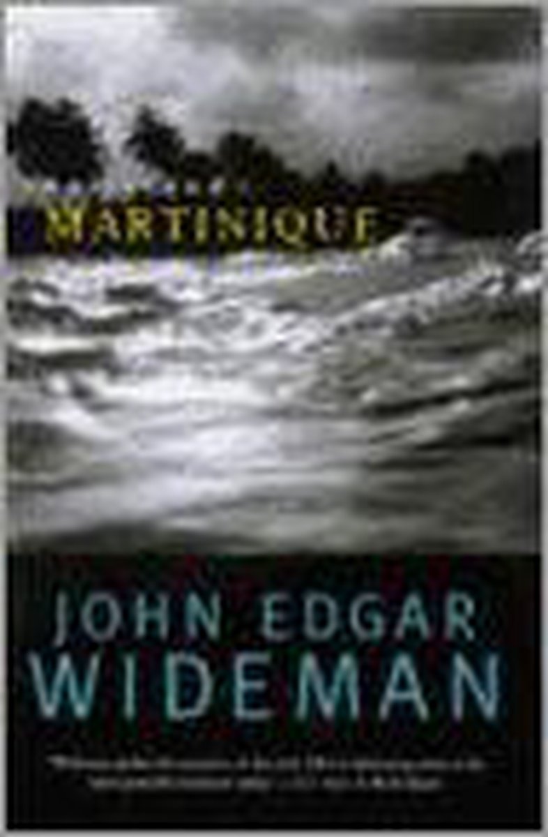 WIDEMAN JOHN E., THE ISLAND
