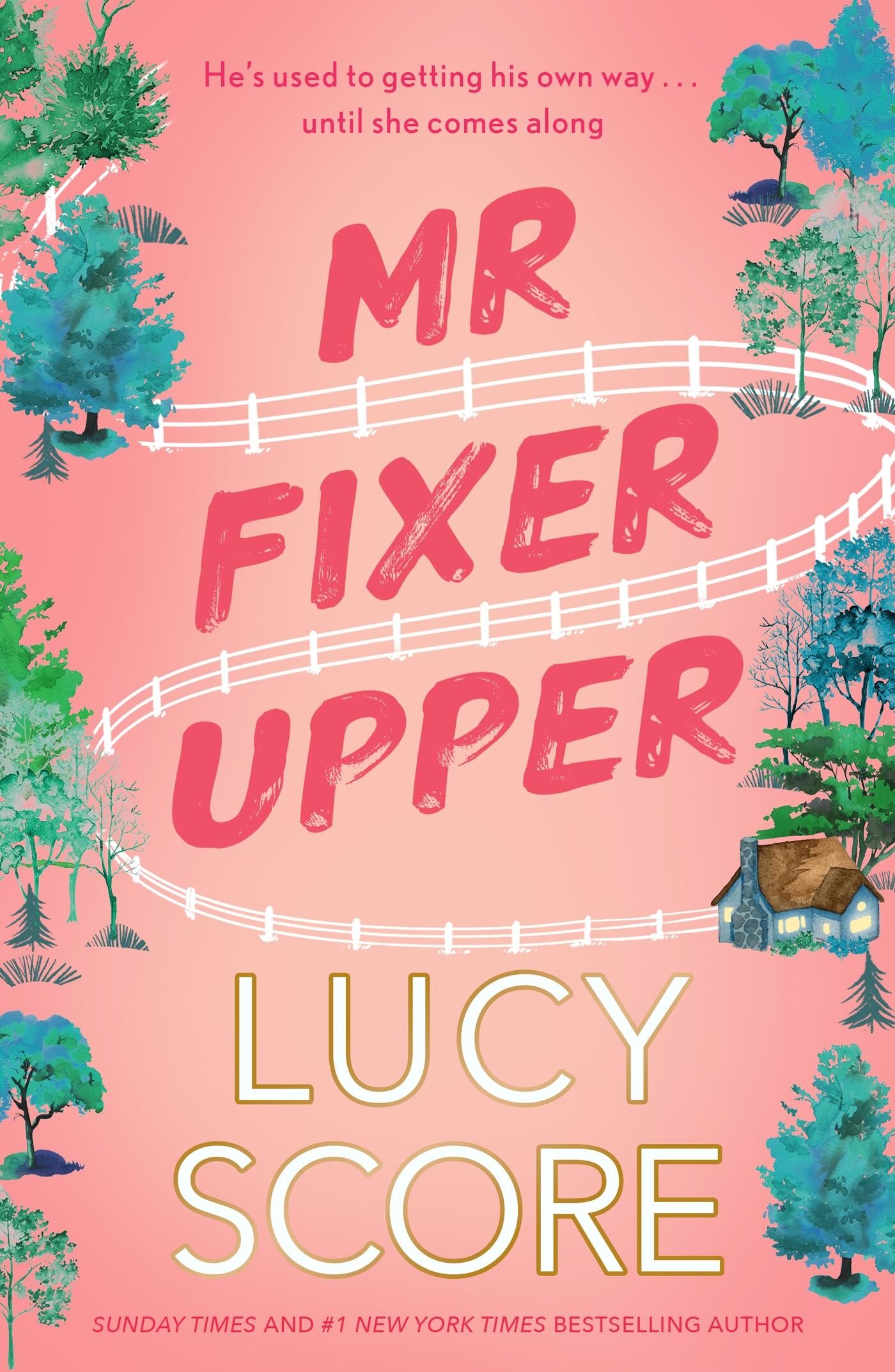 Lucy Score Mr Fixer Upper / Fixer Series / 1