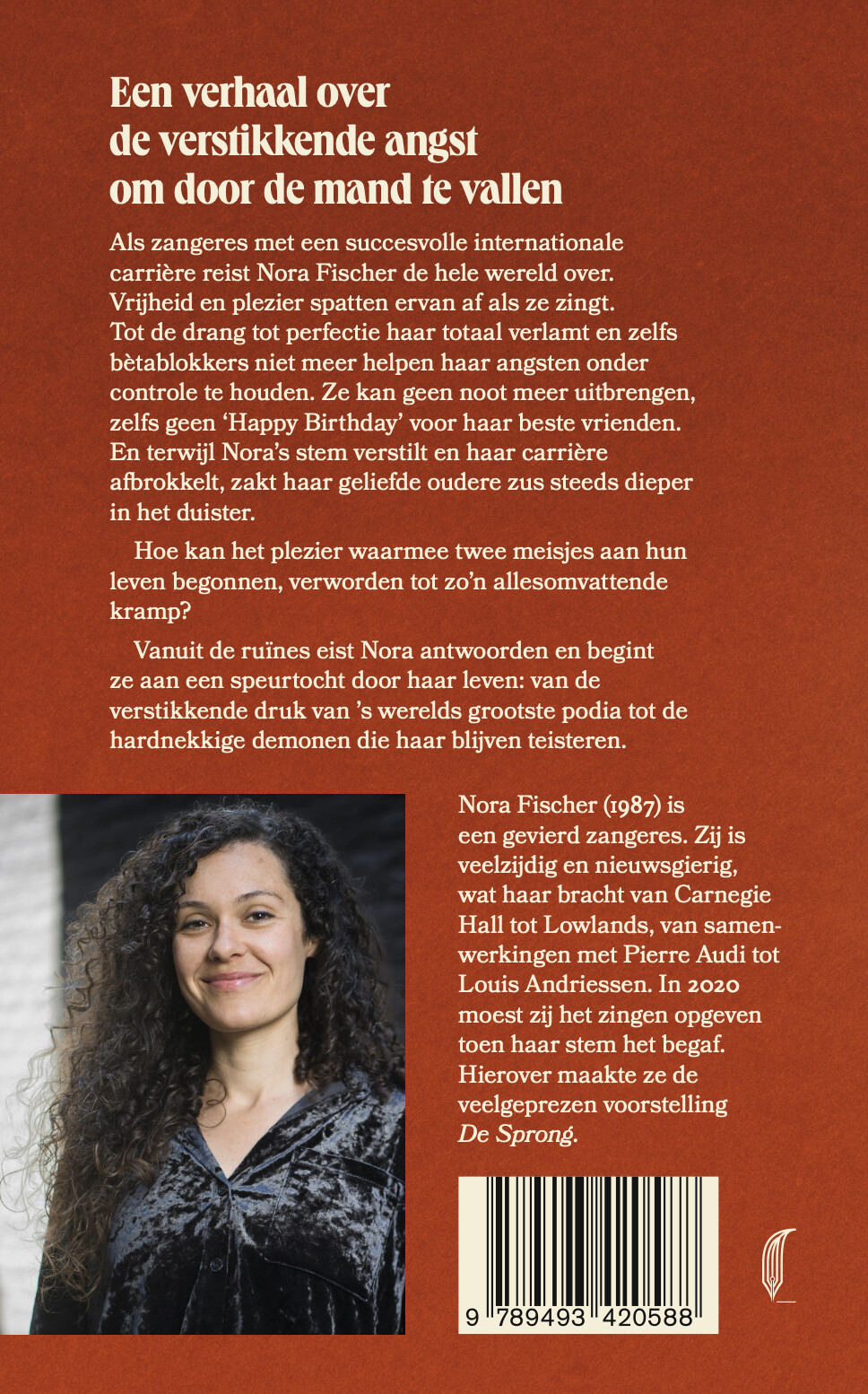 Hoogspanning achterkant