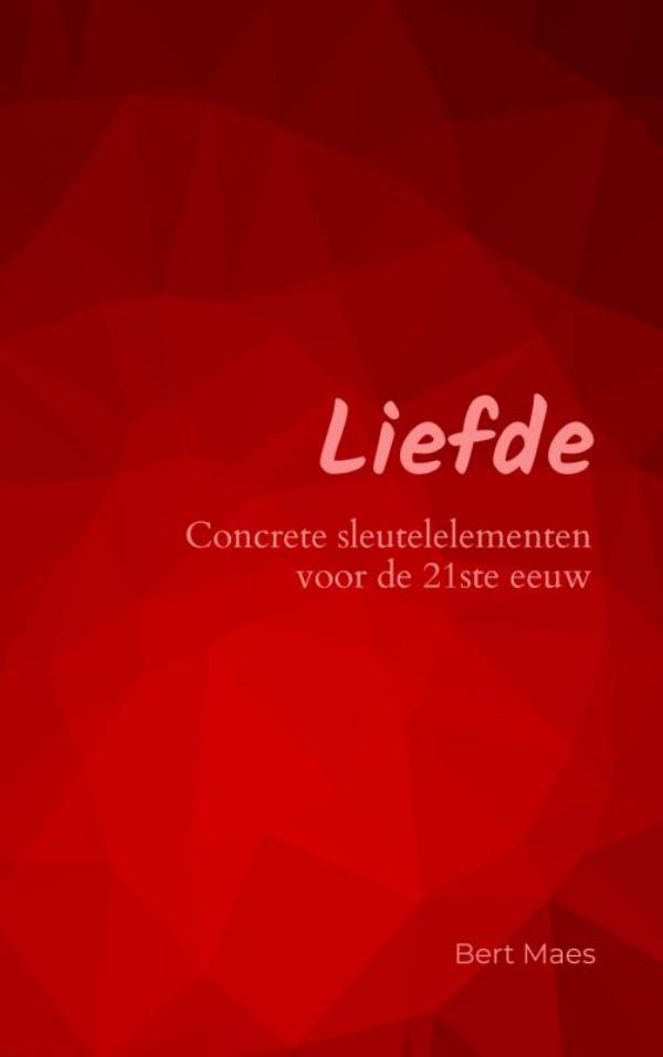 Liefde / No-nonsense praktische gids