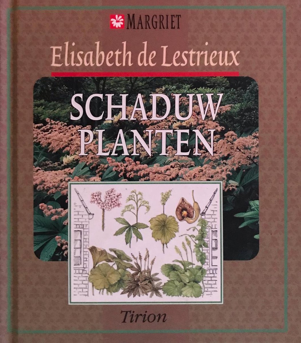 Schaduwplanten