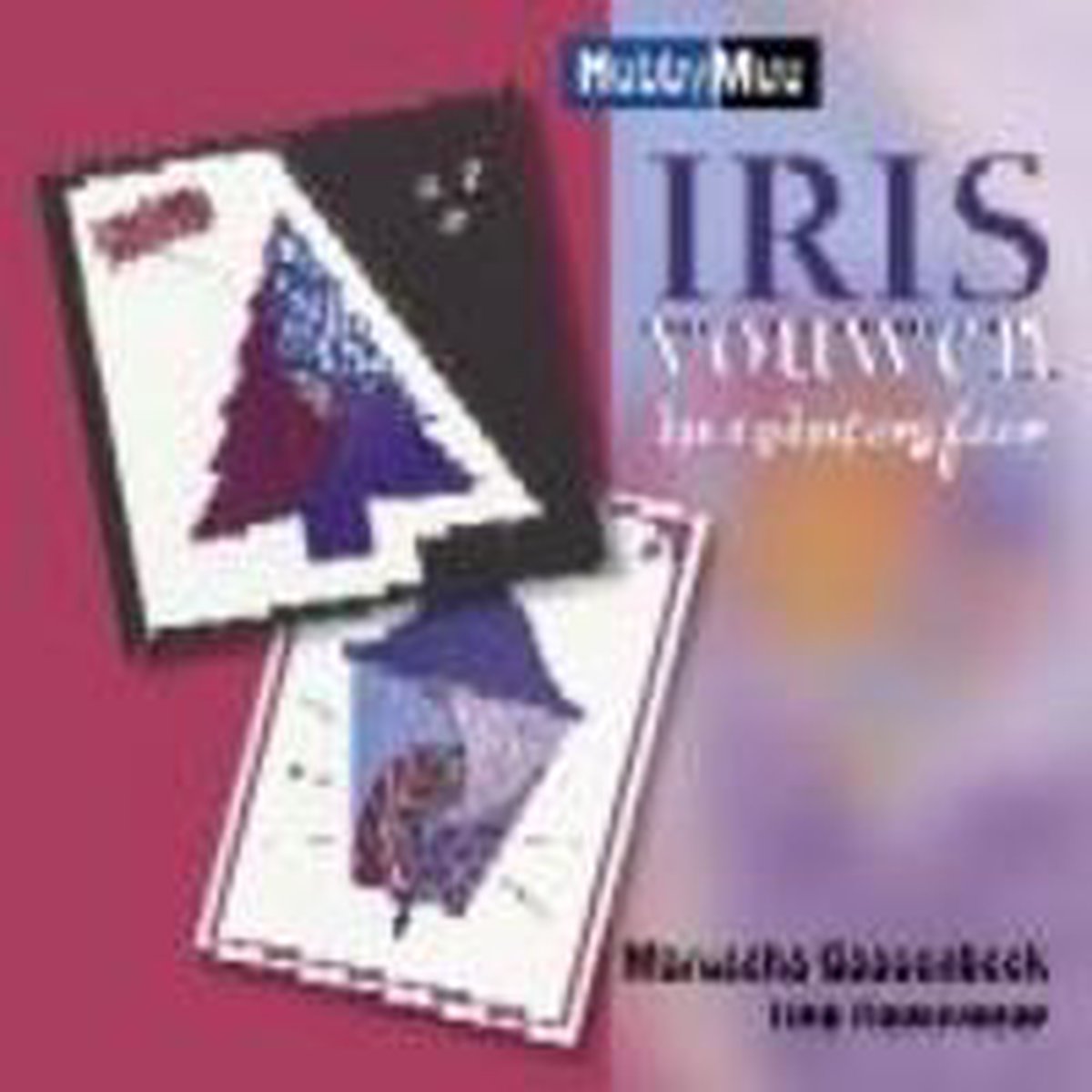 boekenbalie_9789058771544_cover Irisvouwen in wintersfeer / Hobby Mee