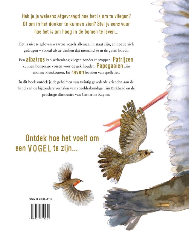 Zo voelt het om een vogel te zijn achterkant