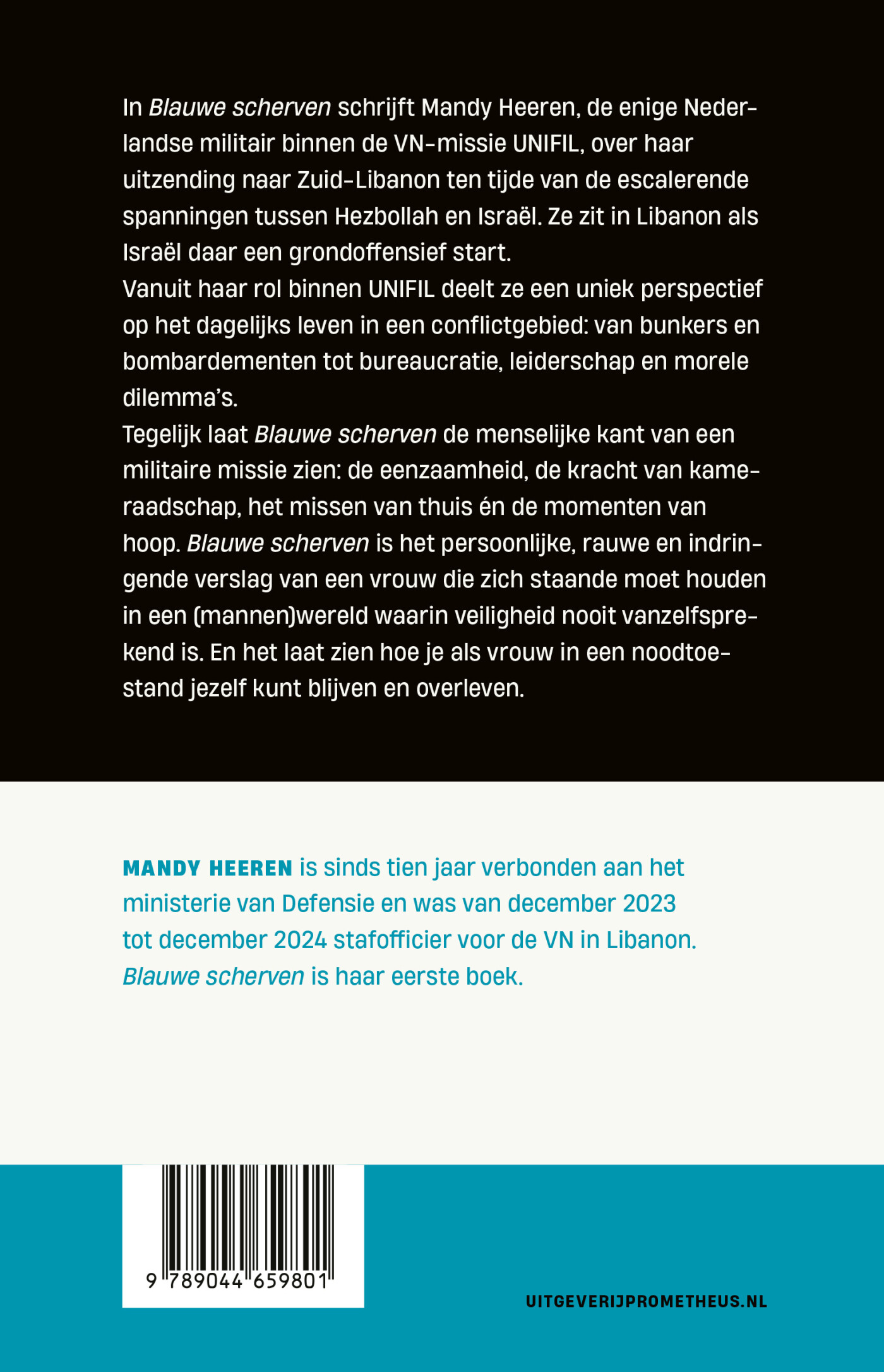 Blauwe scherven achterkant