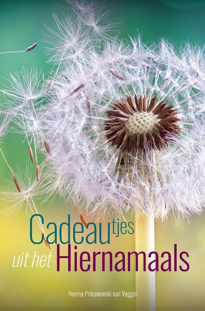 boekenbalie_9789493071131_cover Cadeautjes uit het Hiernamaals