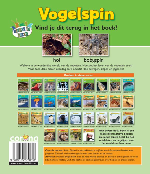 Vogelspin / Dieren in beeld achterkant