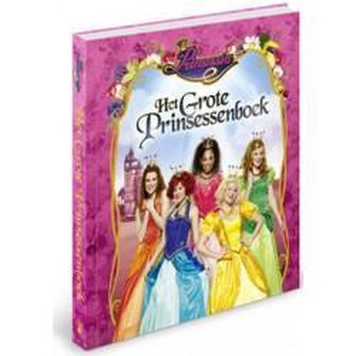 boekenbalie_9789462771109_cover De Prinsessenschool / Prinsessia / 2