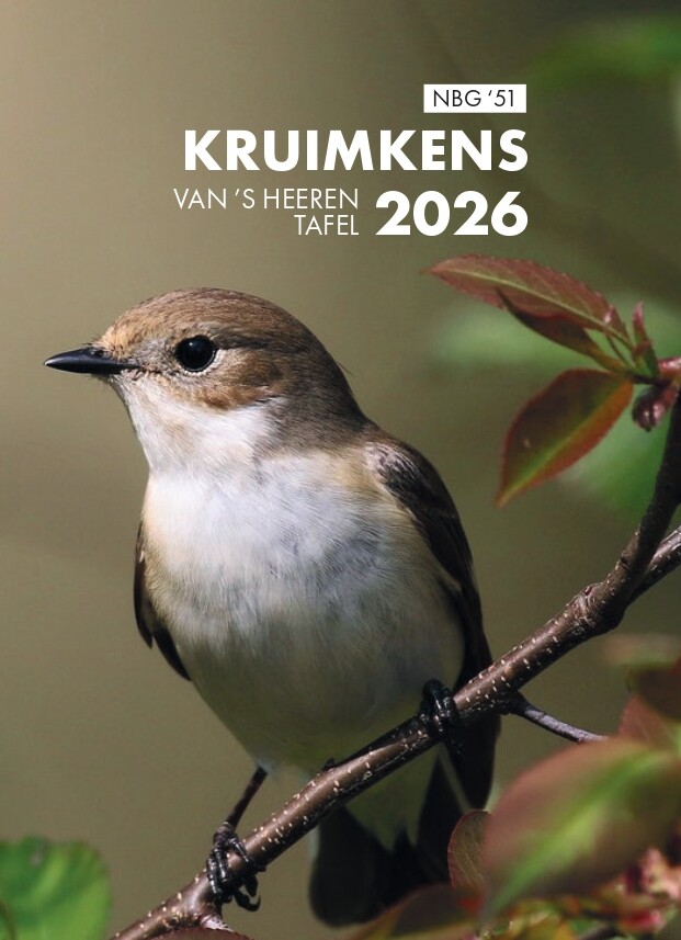 Kruimkens / 2026 thumbnail