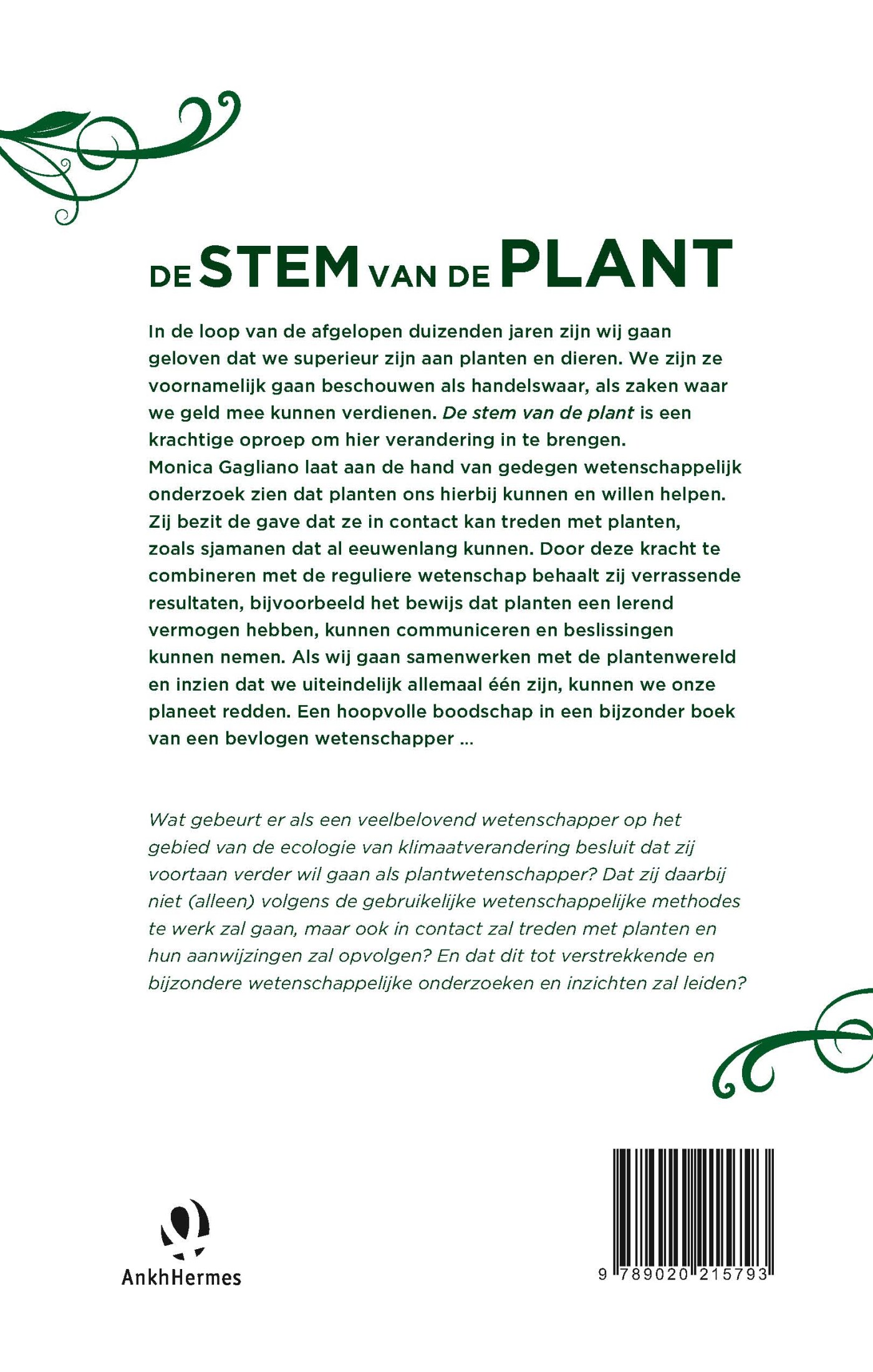 De stem van de plant achterkant