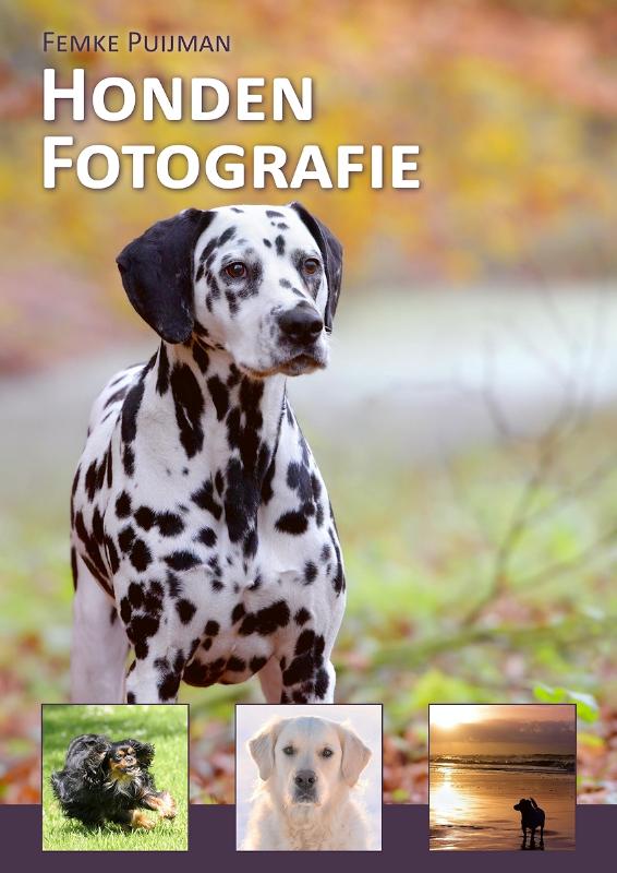 Hondenfotografie