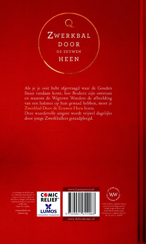 Zwerkbal door de eeuwen heen achterkant