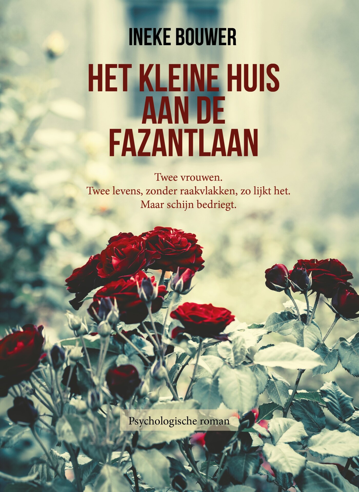 Het kleine huis aan de Fazantlaan