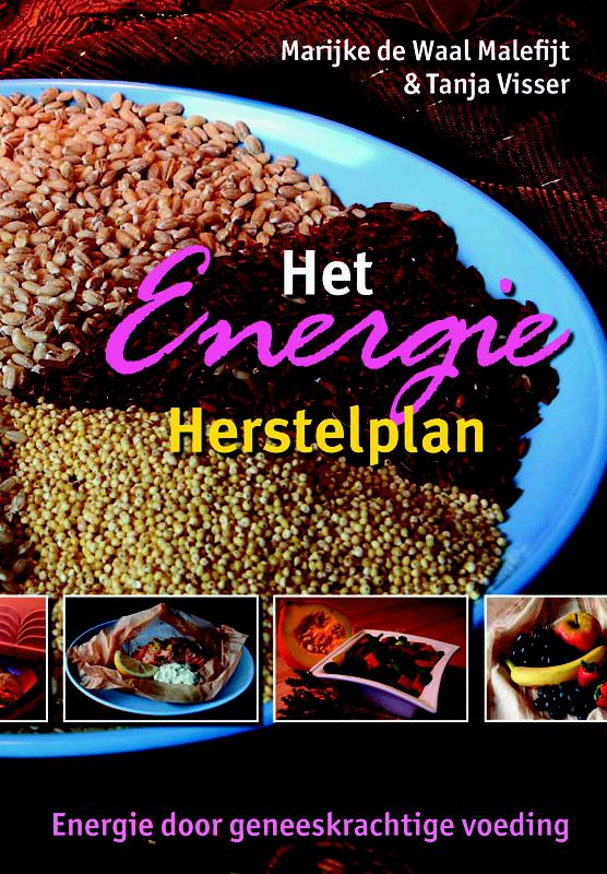 boekenbalie_9789063787691_cover Het energie herstelplan