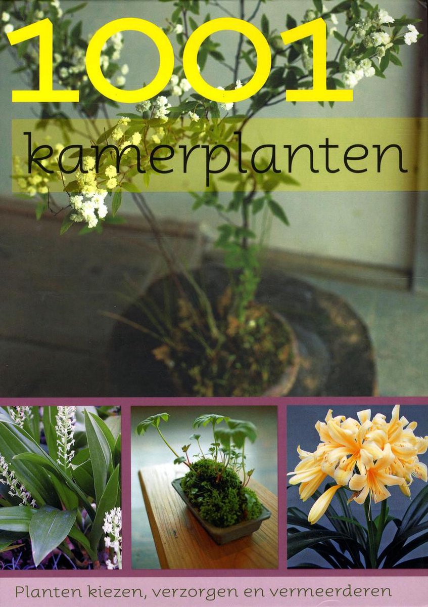 boekenbalie_9781407523958_cover 1001 kamerplanten