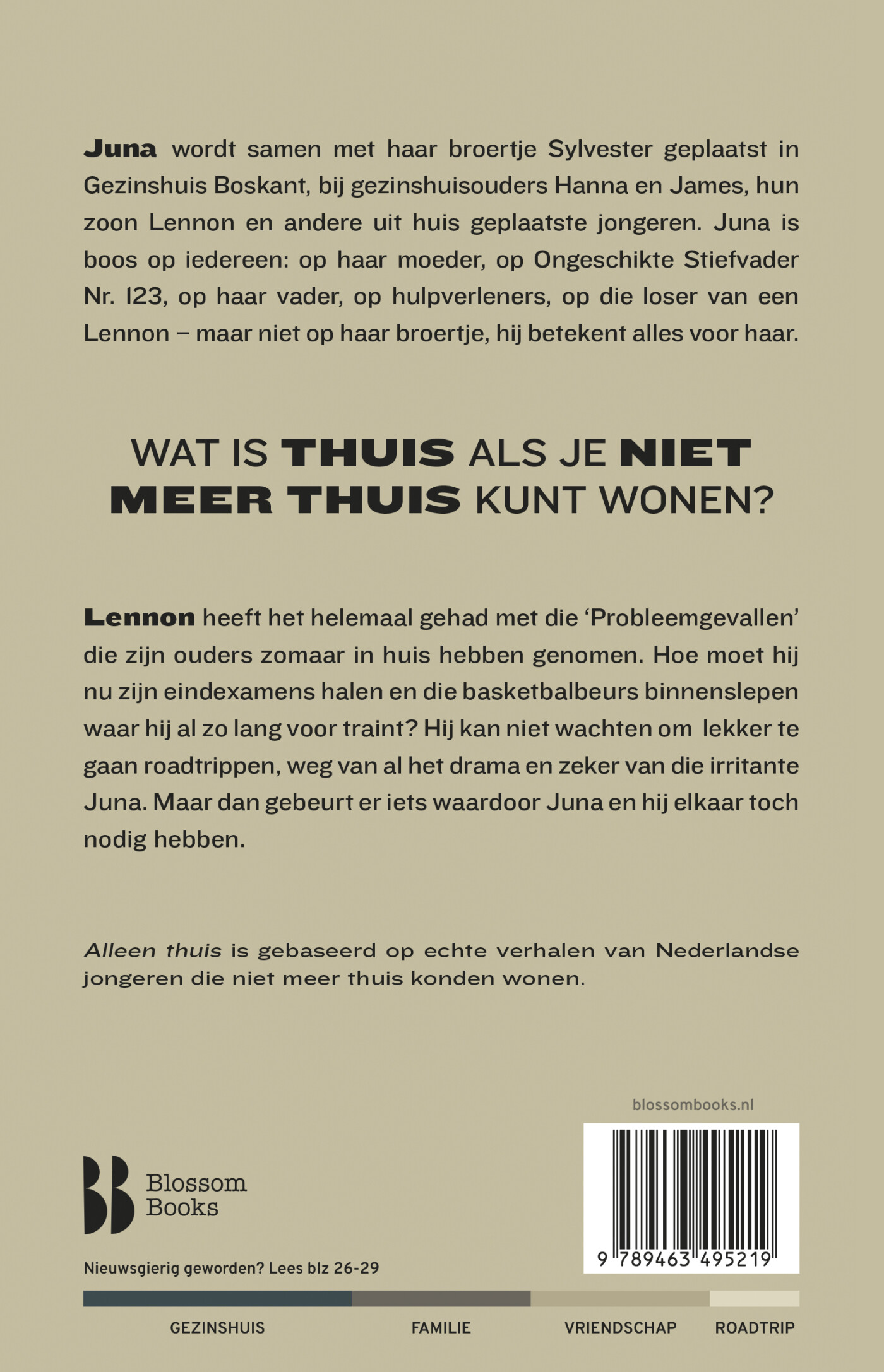 Alleen thuis achterkant