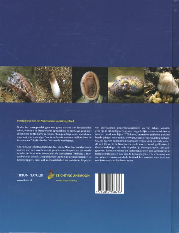 Schelpdieren van het Nederlandse Noordzeegebied / Tirion natuur achterkant