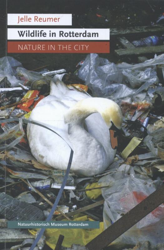 Wildlife in Rotterdam