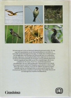 De Oostvaardersplassen achterkant