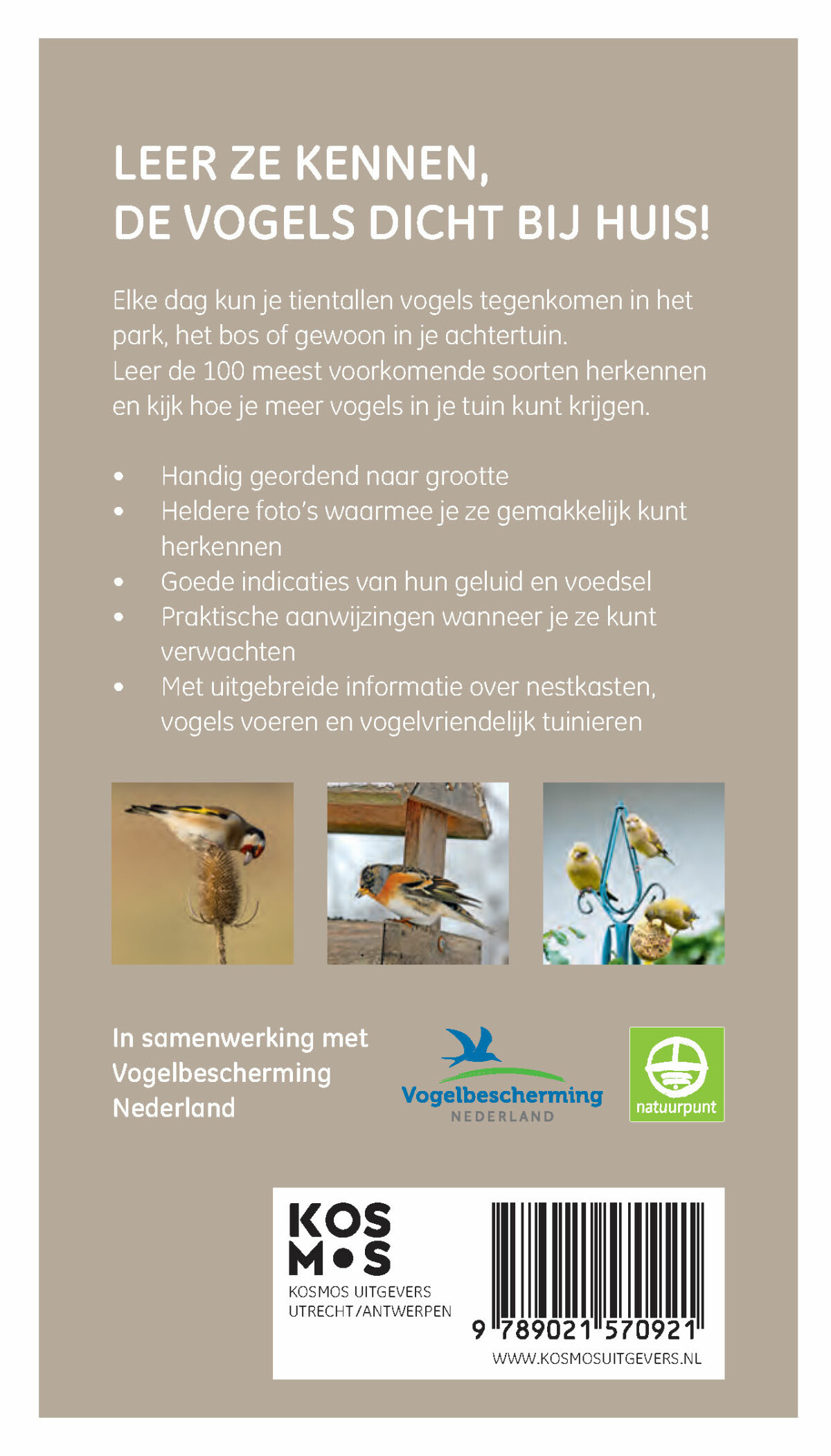 Vogels in en rond de tuin achterkant