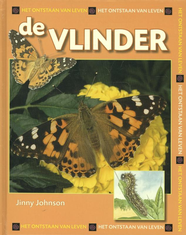 Het ontstaan van leven - De vlinder