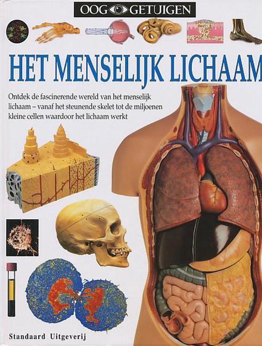 OOGGETUIGEN HET MENSELYK LICHAAM