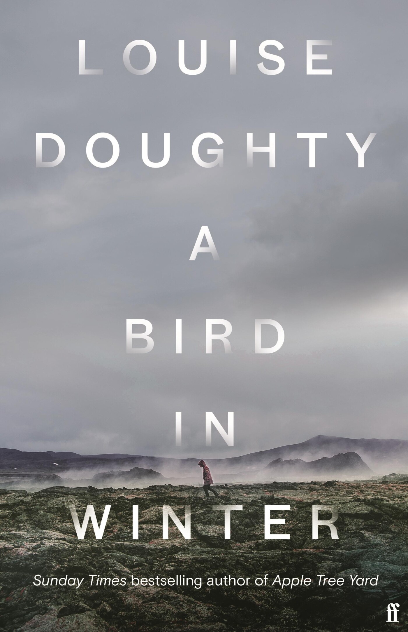 Louise Doughty A Bird In Winter