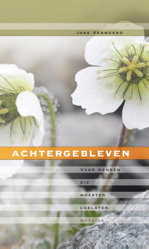 boekenbalie_9789023990901_cover Achtergebleven