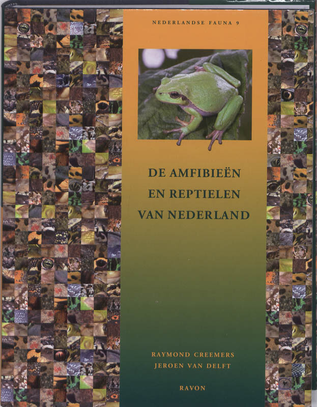 boekenbalie_9789050113007_cover De amfibieen en reptielen van Nederland / Nederlandse Fauna / 9