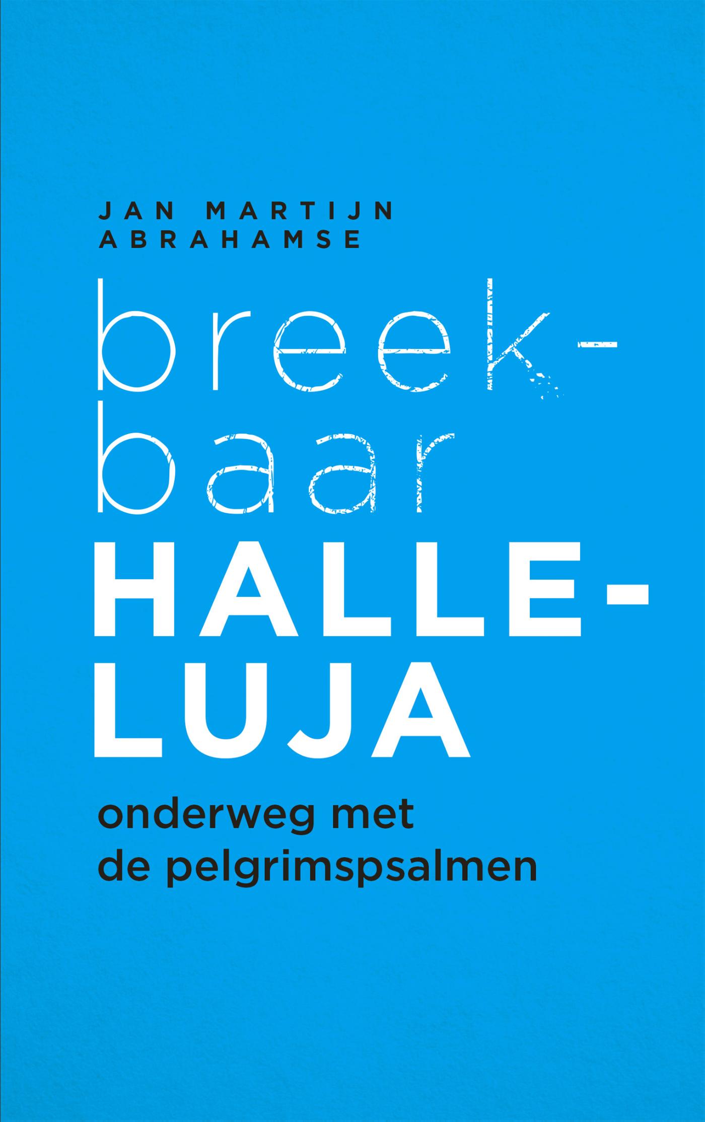 Jan Martijn Abrahamse Breekbaar Halleluja thumbnail