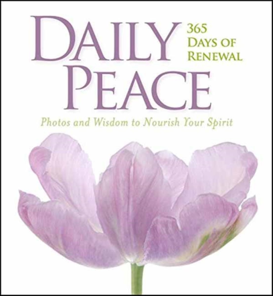 Daily Peace