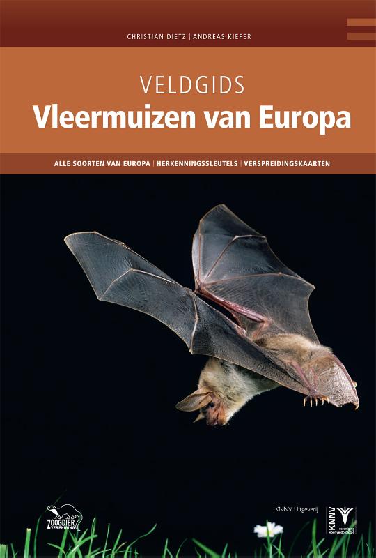 Vleermuizen van Europa / Veldgids
