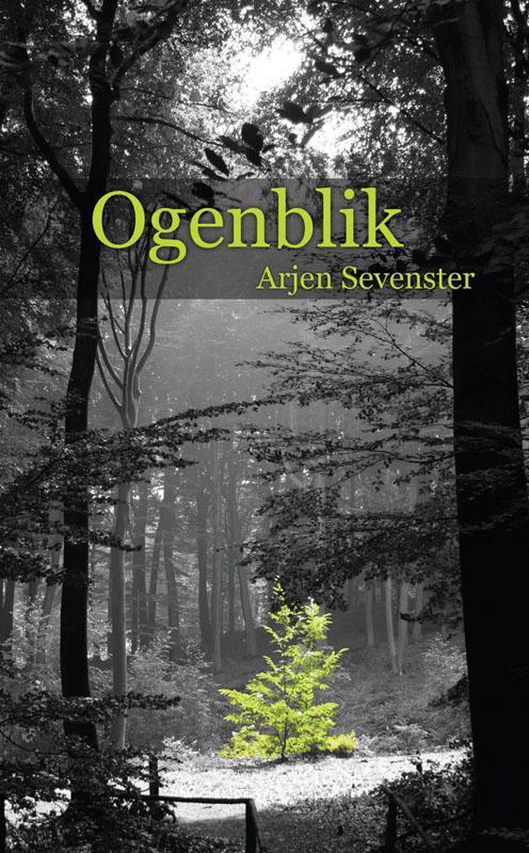 Ogenblik