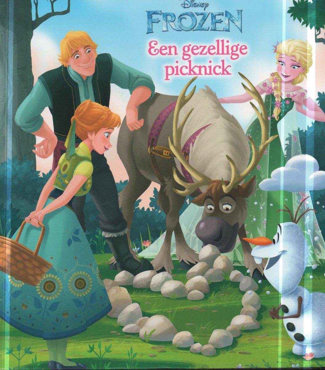 boekenbalie_9789047806257_cover verhaalboek Een gezellige picknick Frozen